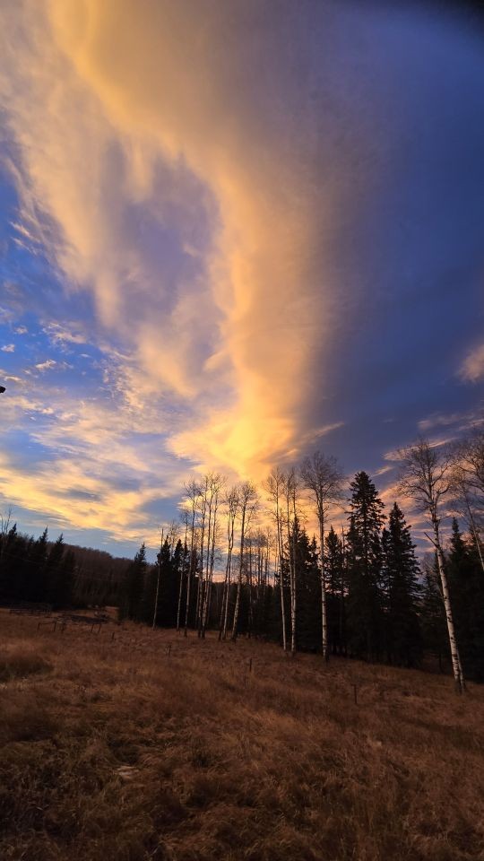 Fall sunset lighting up trees in Clearwater County Alberta foothills during autumn travel season