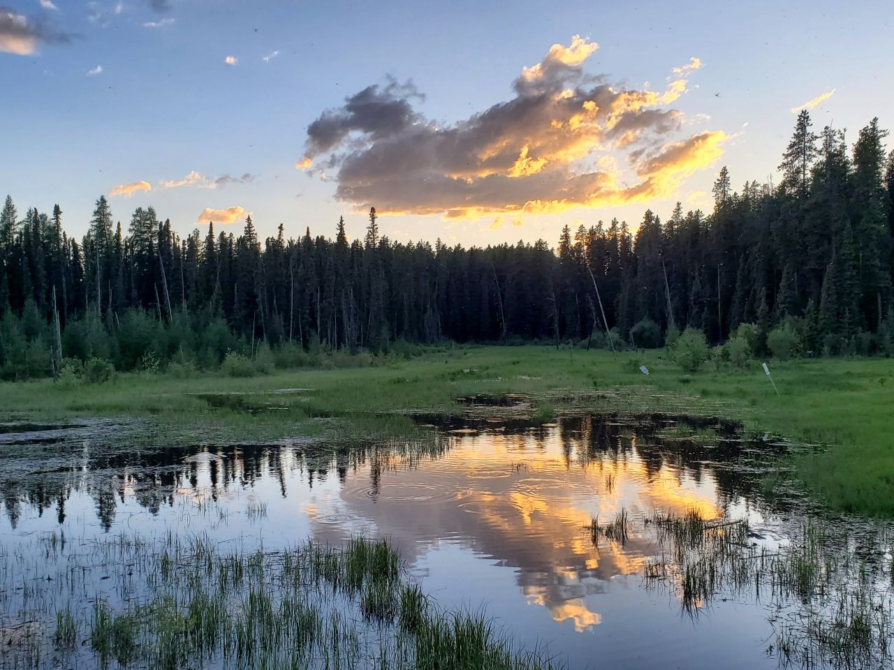 What is the Best Time to Visit Alberta? Clearwater County Alberta during the quiet spring and fall travel seasons.