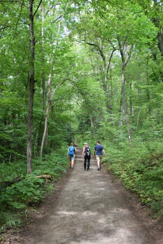 Three hikers enjoying a Bruce Trail section hike along the Niagara Escarpment in Ontario Canada, illustrating how travelers explore this long-distance trail through shorter hiking segments completed over multiple visits.