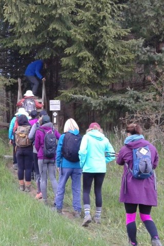Group of hikers participating in an organized Bruce Trail end-to-end hike in the Dufferin Hi-Land Section of Ontario Canada, completing a full section together while exploring forests, escarpment landscapes, and rural countryside.