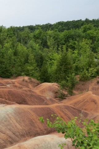 Hiking along the Bruce Trail at Terra Cotta Conservation Area in Ontario Canada, showcasing fall colours, mature hardwood forests, and birdwatching opportunities along the Niagara Escarpment hiking route.
