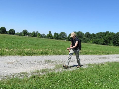 Hiker on the Niagara River Recreational Trail in Ontario, Canada, showcasing the paved, scenic route along the Niagara River, ideal for walking adventures with accessible terrain and beautiful natural surroundings.