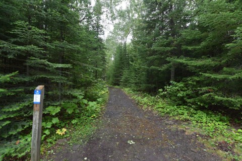 Hiking the rugged Kabeyun Trail in Sleeping Giant Provincial Park near Thunder Bay, following Lake Superior’s shoreline through boreal forest, rocky terrain, and dramatic cliffs beneath the iconic Sleeping Giant formation.
