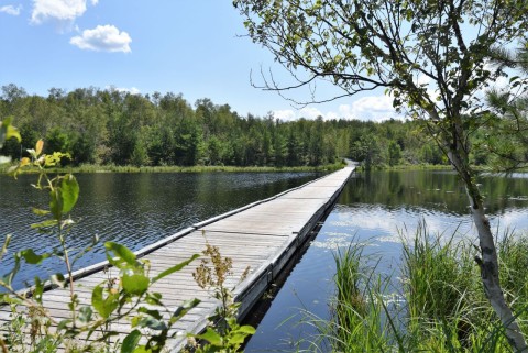 A scenic boardwalk section of the Sudbury Camino crosses rocky Canadian Shield terrain and lakes, offering hikers peaceful water views and a unique blend of nature within this urban pilgrimage route.