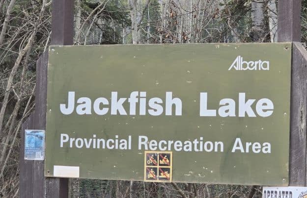 Jackfish Lake in David Thompson Country is one of 4 Jackfish Lakes in Alberta. This Jackfish Lake is a Provincial Recreation area with a smmll lake and campground.