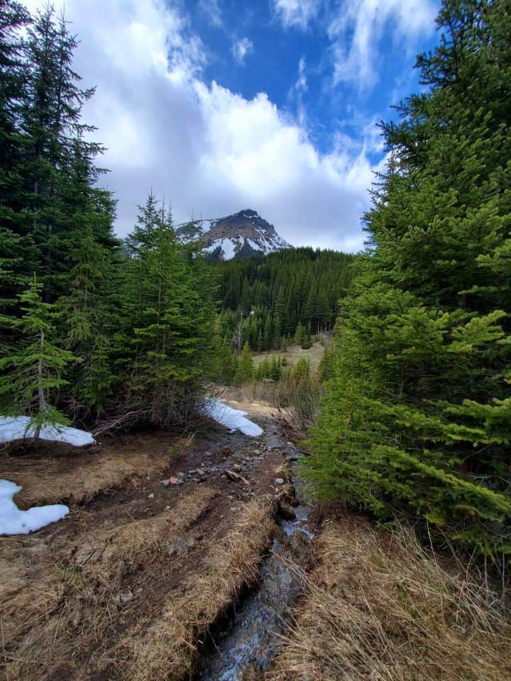 Backroads maps help find the trails hiding in the Crowsnest Pass area of Alberta Canada