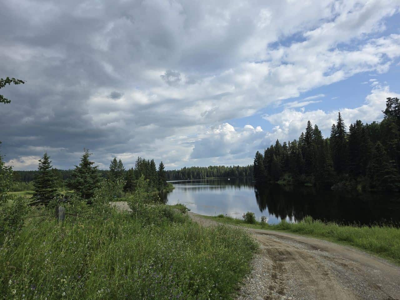 Beaver Lake is a small catch and release fishing pond near Sundre Alberta Canada