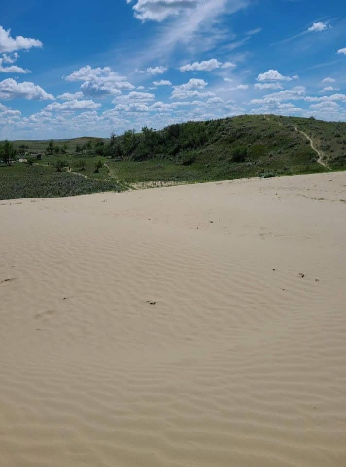 East central Alberta leads you right into a fascinating area of  Saskatchewan and the Great Sandhills