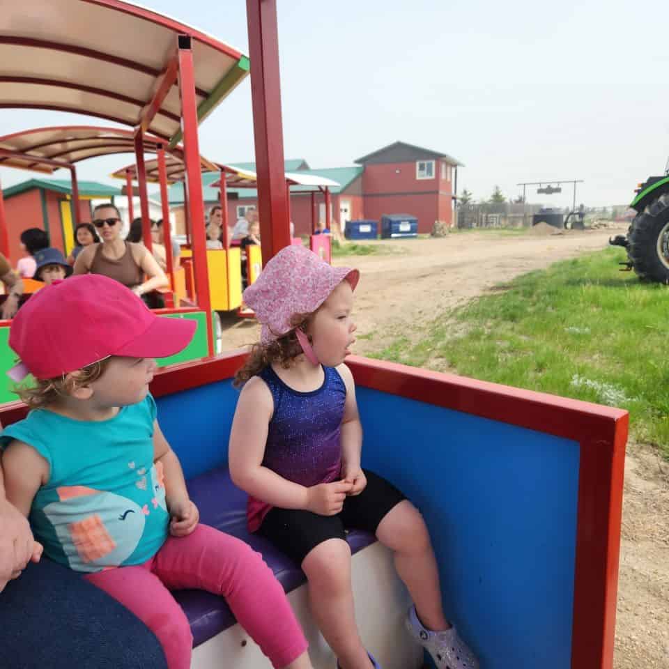 Grotto Gardens is more than an animal petting farm. There is a kids train ride, mini putt, a restaurant and gift shop