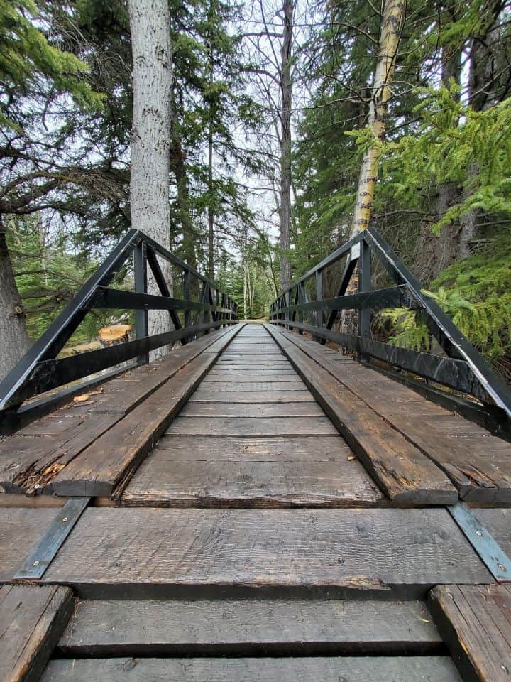 Thanks to trail volunteers in the Crowsnest Pass area fir maintaining the ATV trails so well