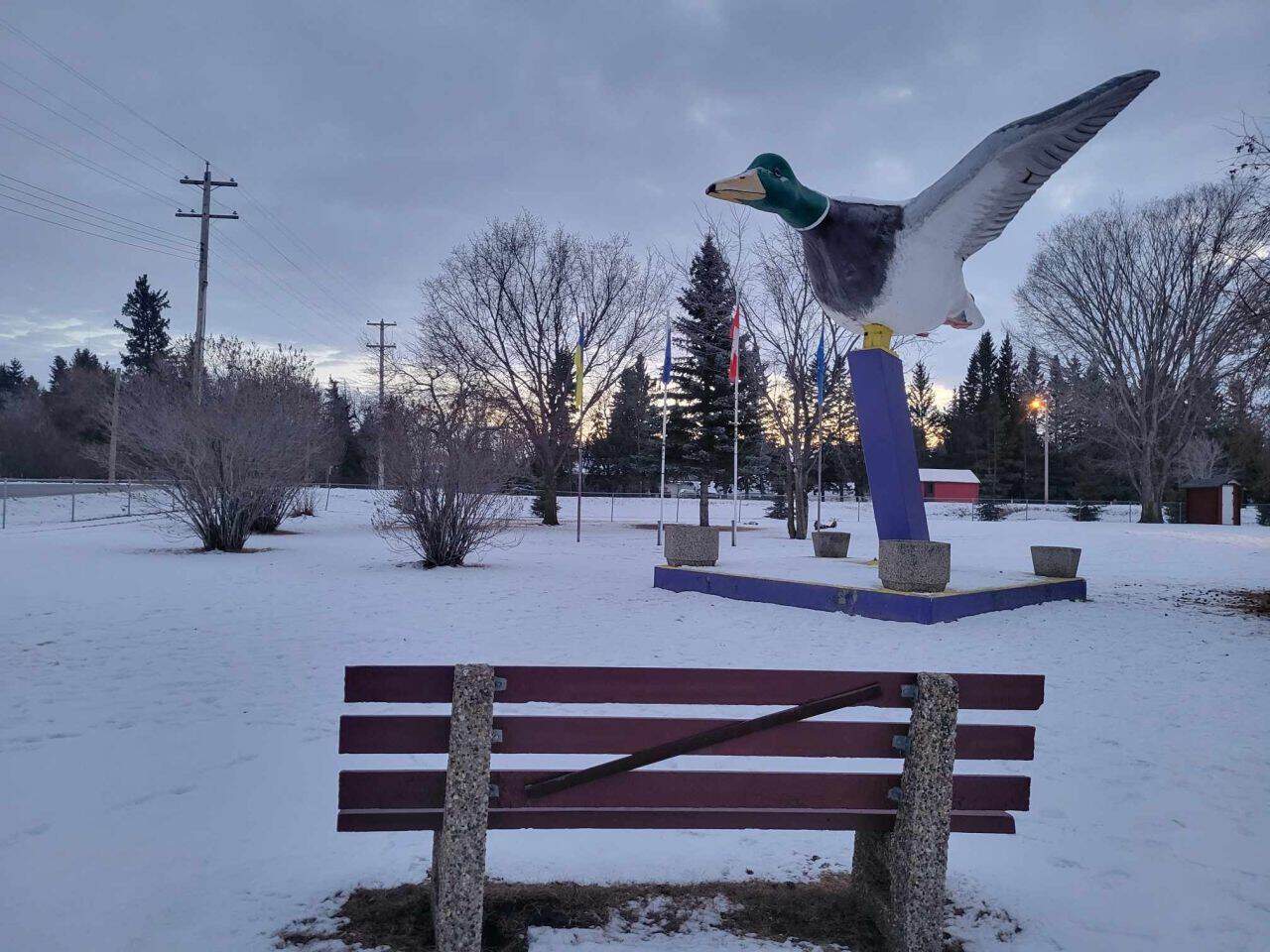 Andrew Alberta Canada is home to the World's Largest Mallard Duck roadside attraction