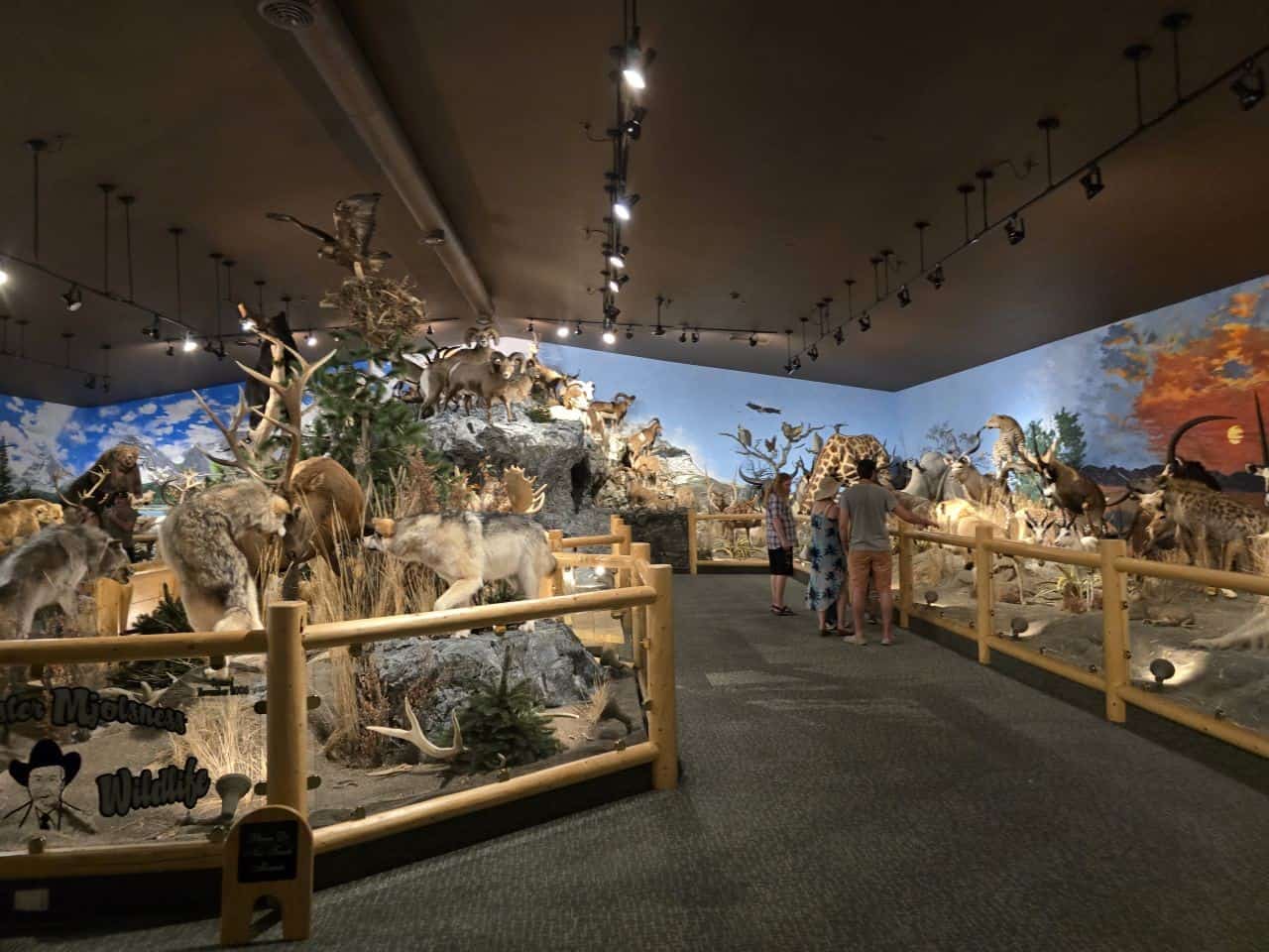 Sundre Alberta is home to a World of Wildlife museum to explore.