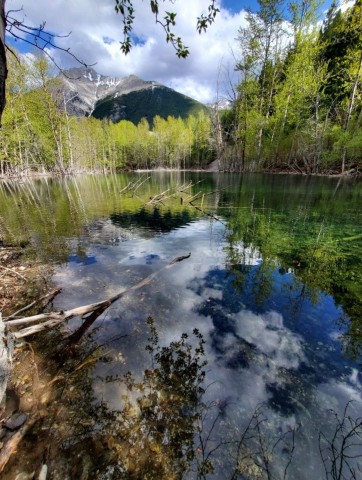 A backcountry pond in the Crowsnest Pass offers stunning views
