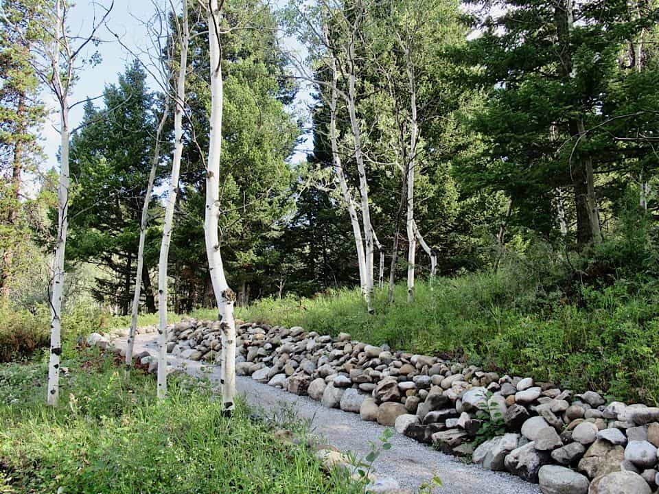 Glamping in the Canadian Rockies - Charmed Resorts gravel path winding up low hill in aspen and evergreen forest.
