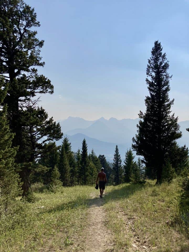 Man walking down trail with evergreen trees around and mountains in the distance in Southern Alberta.