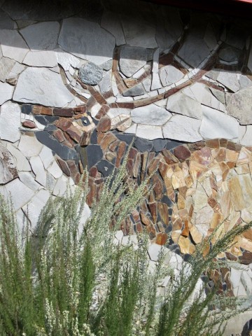 Large bull elk image in rock on side of building.