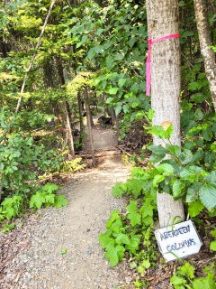 Aberdeen Columns, hiking, trail,  Vernon, BC, Canada