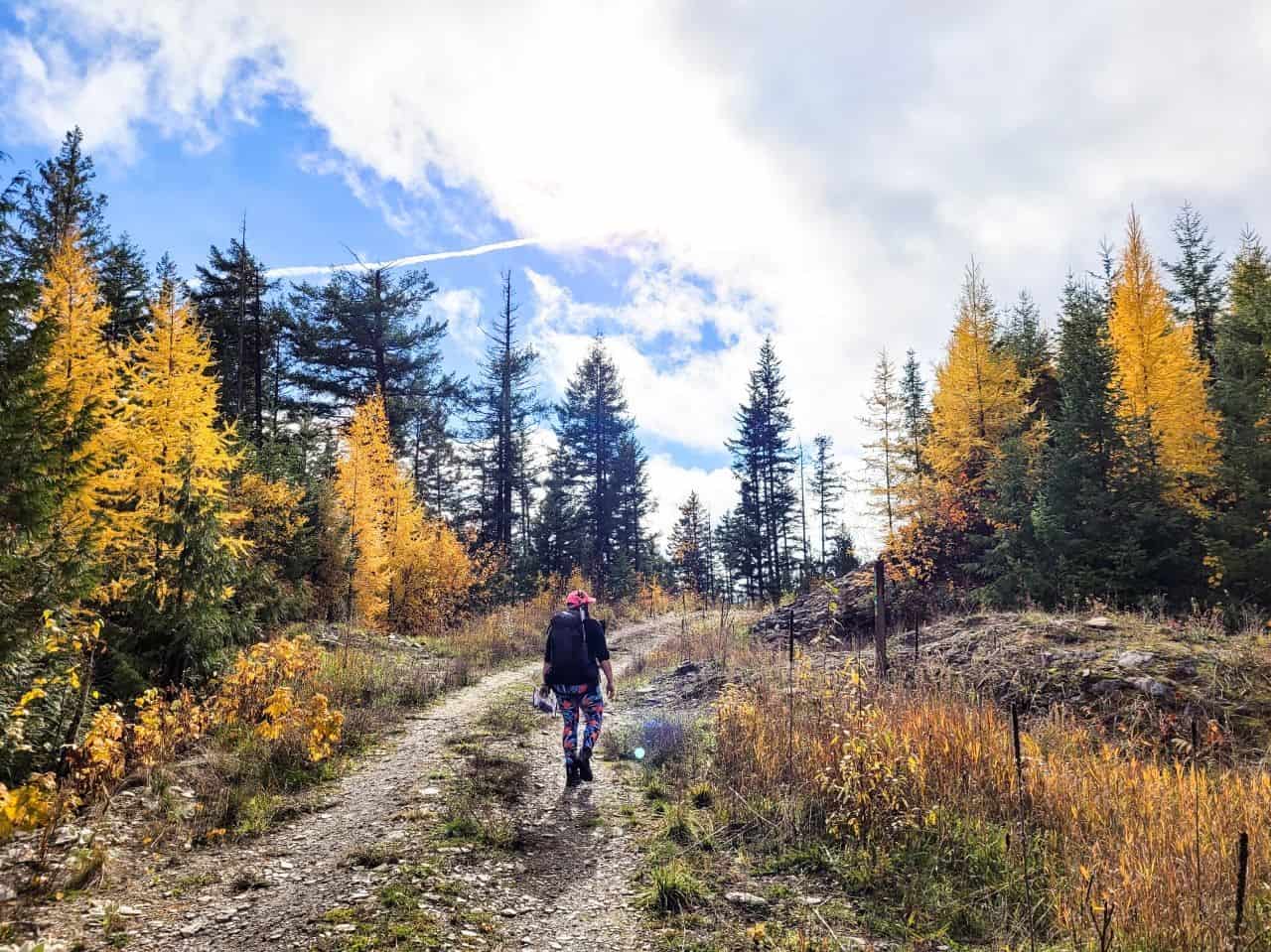 Girl hiking using the basic beginner hiking gear recommendations