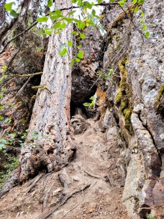 Rim Rocks, hiking, trail, Rim Rocks hiking trail, vernon