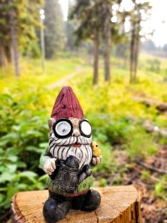 Summertime activities, Vernon, British Columbia, Okanagan, gnome hunts, Silverstar 