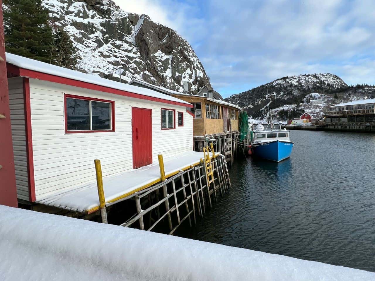 Historical fishing stages along the coastline near St. John’s create a picturesque landscape.