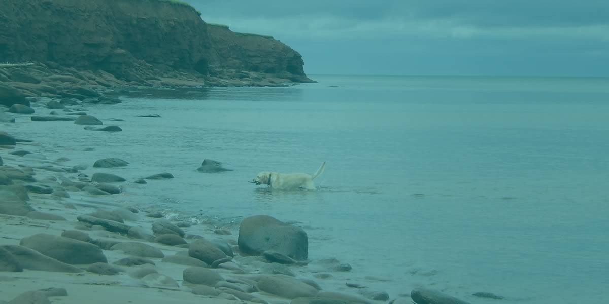 Campbell's Cove - Prince Edward Island Parks & Trails