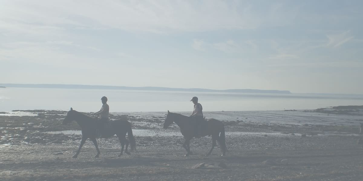 Horseback Riding on Beach - New Brunswick Parks & Trails