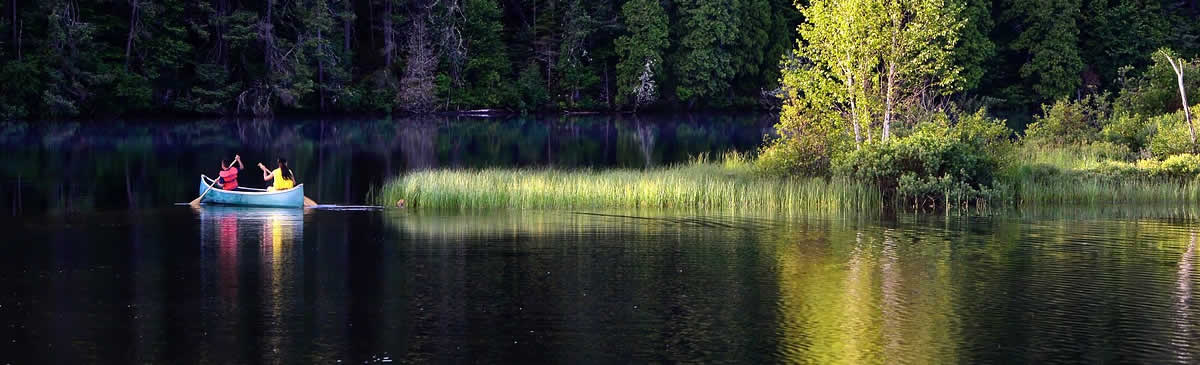new brunswick attractions birdwatching