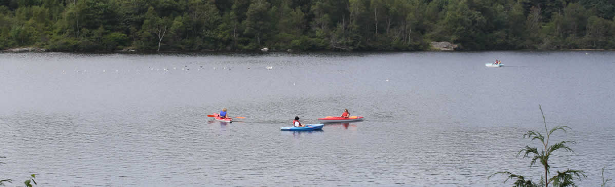 saint john attractions things to do