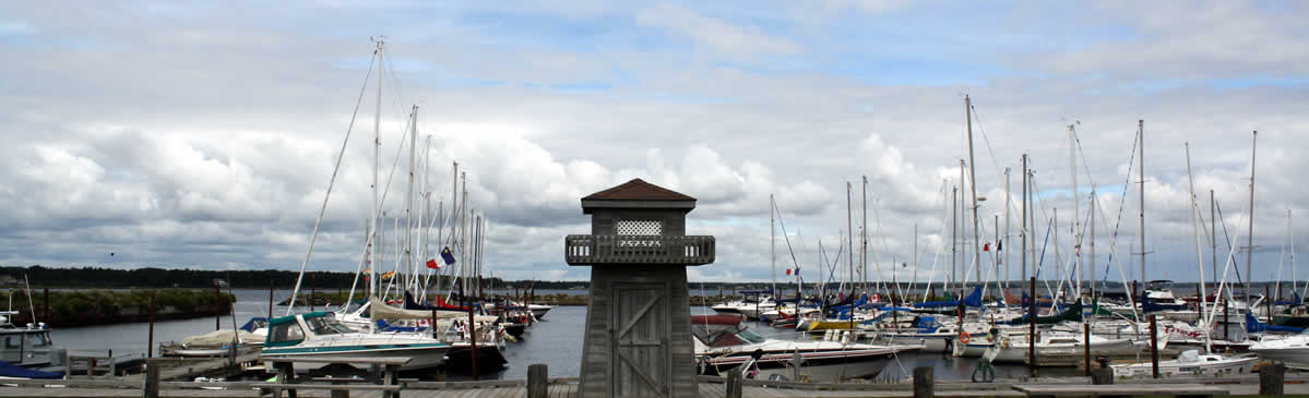 shediac attractions things to do