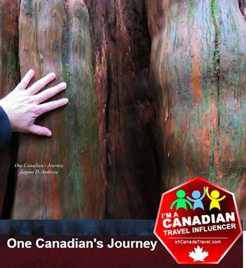 One Canadian's Journey