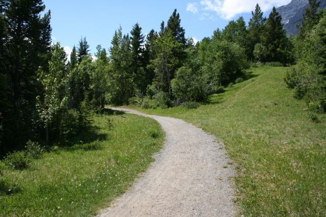 north-terrace-trail20090703_94