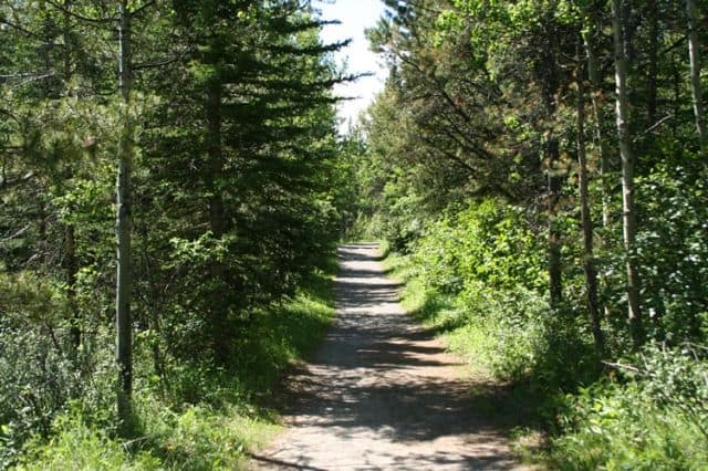 north-terrace-trail20090703_95