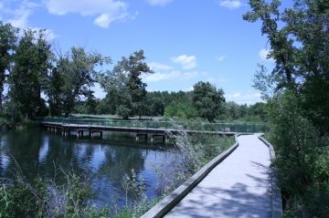 trail20090630_83 trail20090630_83