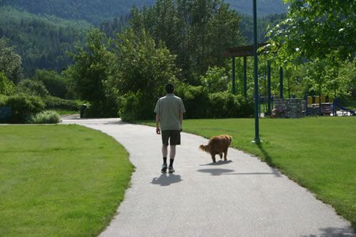millenium-walkway-dog