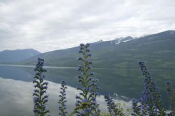 nakusp-city-trail-views