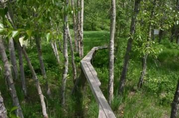 mountain-bike-ramps