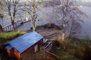 ucluelet-cottage