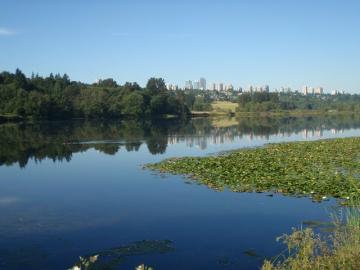 burnaby_lake