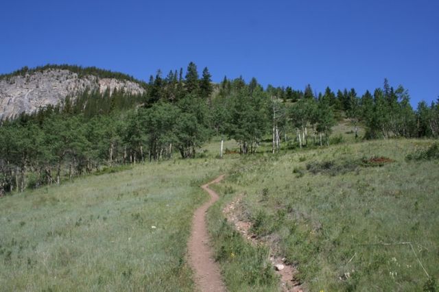 first-part-of-trail20090720_57