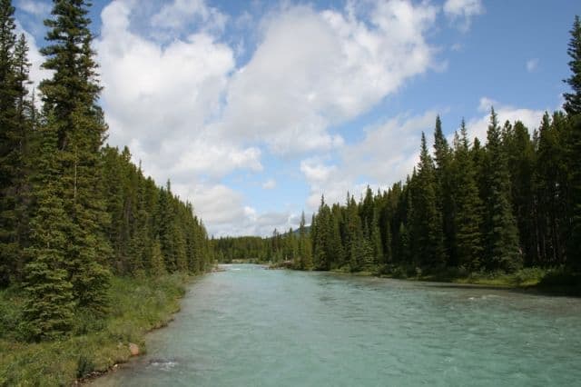 bow-river20090715_77