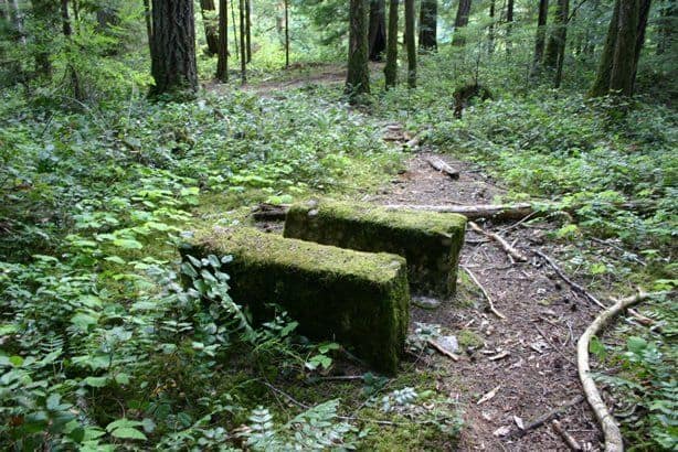 englishman-river-falls-trail