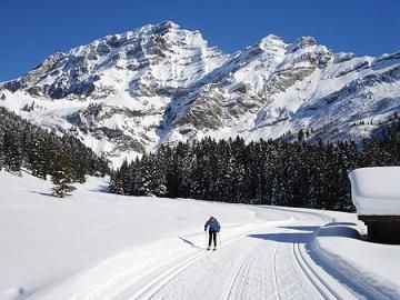 (XC Skiing) Cross Country Skiing Tips