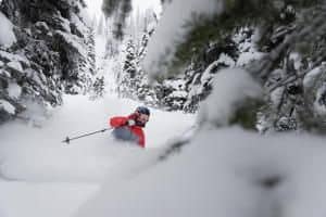 ski-revelstoke ski-revelstoke