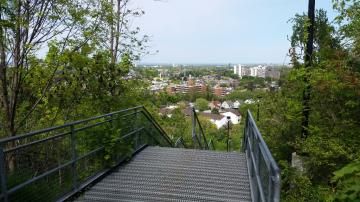 Hamilton Escarpment Stairs