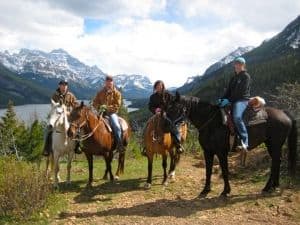 horses-rockies