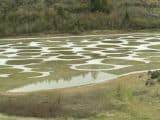 spotted_lake_2