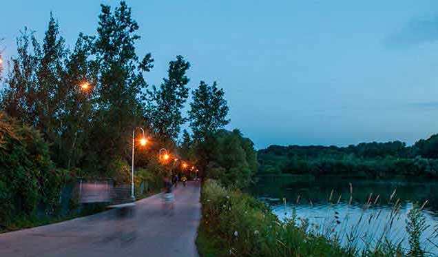 Cootes-Night-Trail
