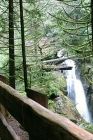 cypress-falls-trail