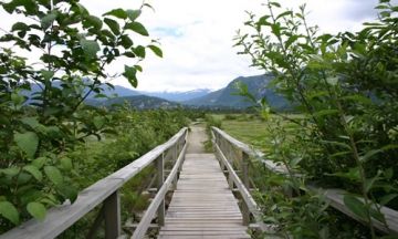 estuary_path_from_the_spit